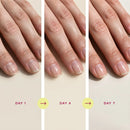 STRENGTH — Strengthening Nail Serum